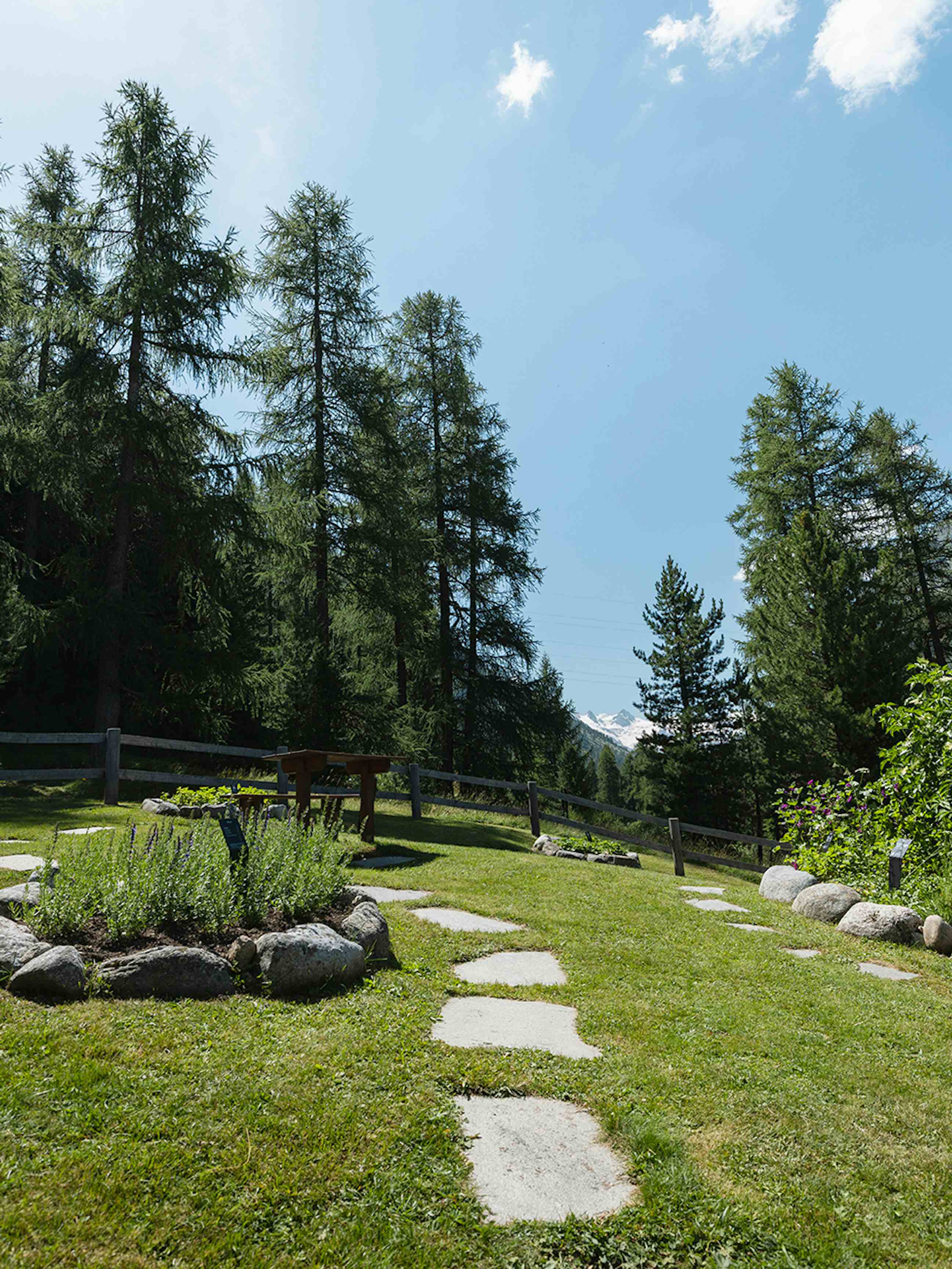 Herb Garden Pontresina
